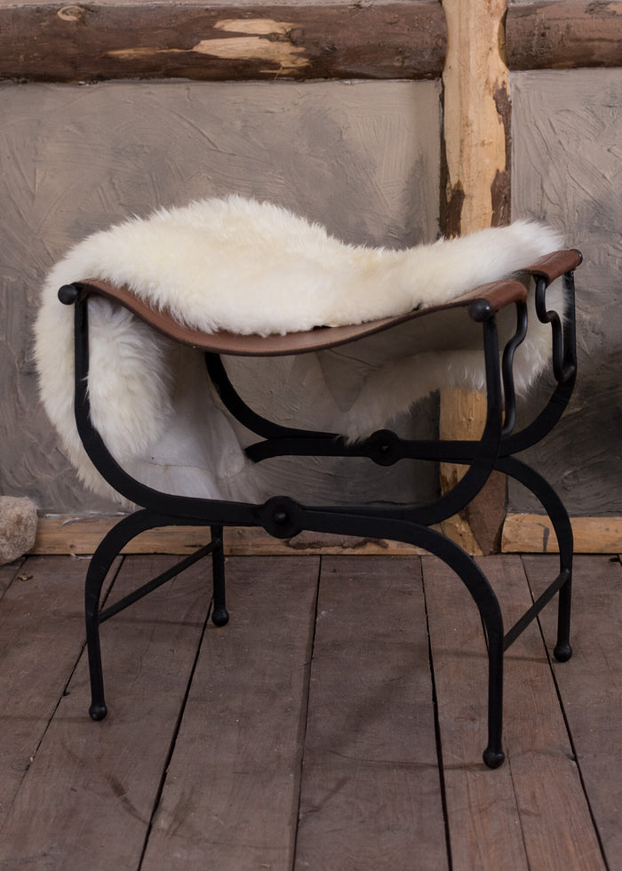 Roman chair, sella curulis