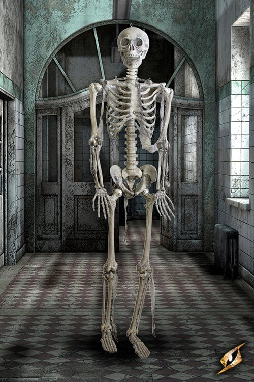 Full skeleton