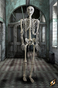 Full skeleton