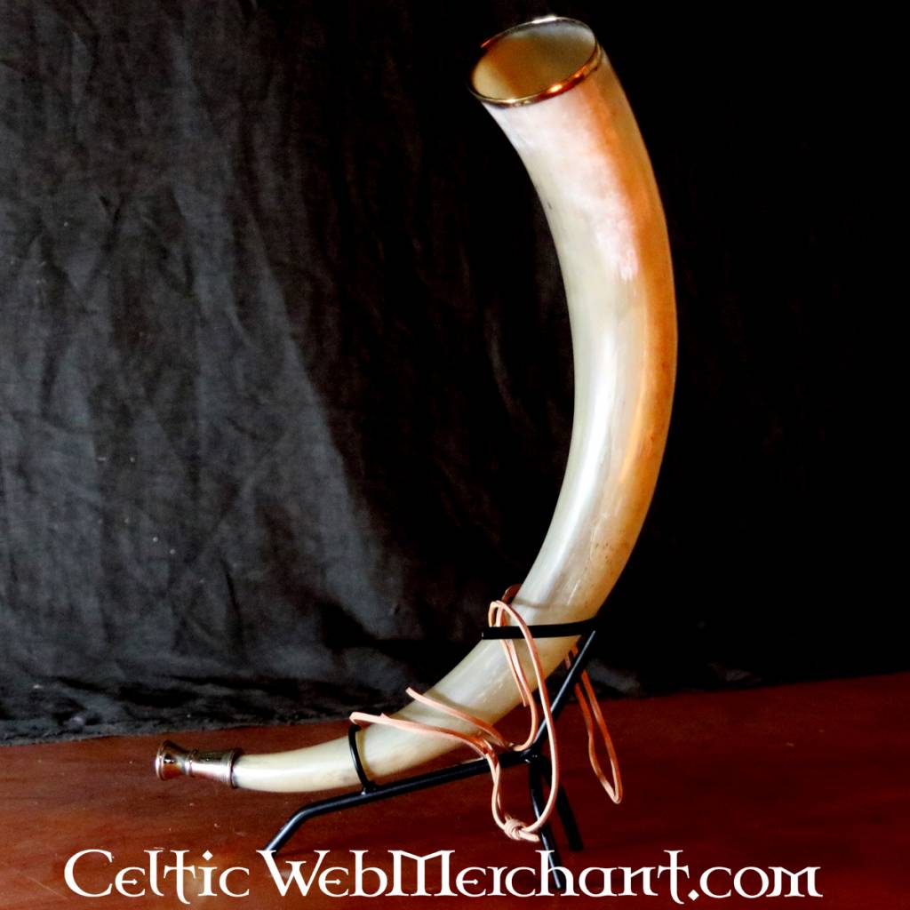Early medieval signal horn