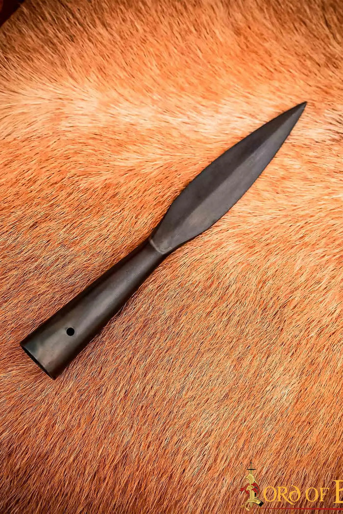 Early medieval leaf-shaped spearhead, bronzed, semi-sharp