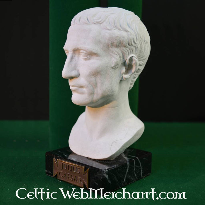 Bust Julius Caesar