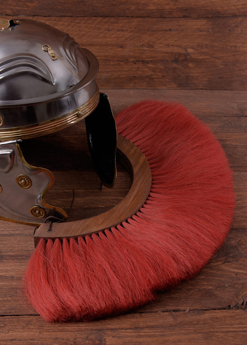 Grzebień hełmu rzymskiego, czerwony