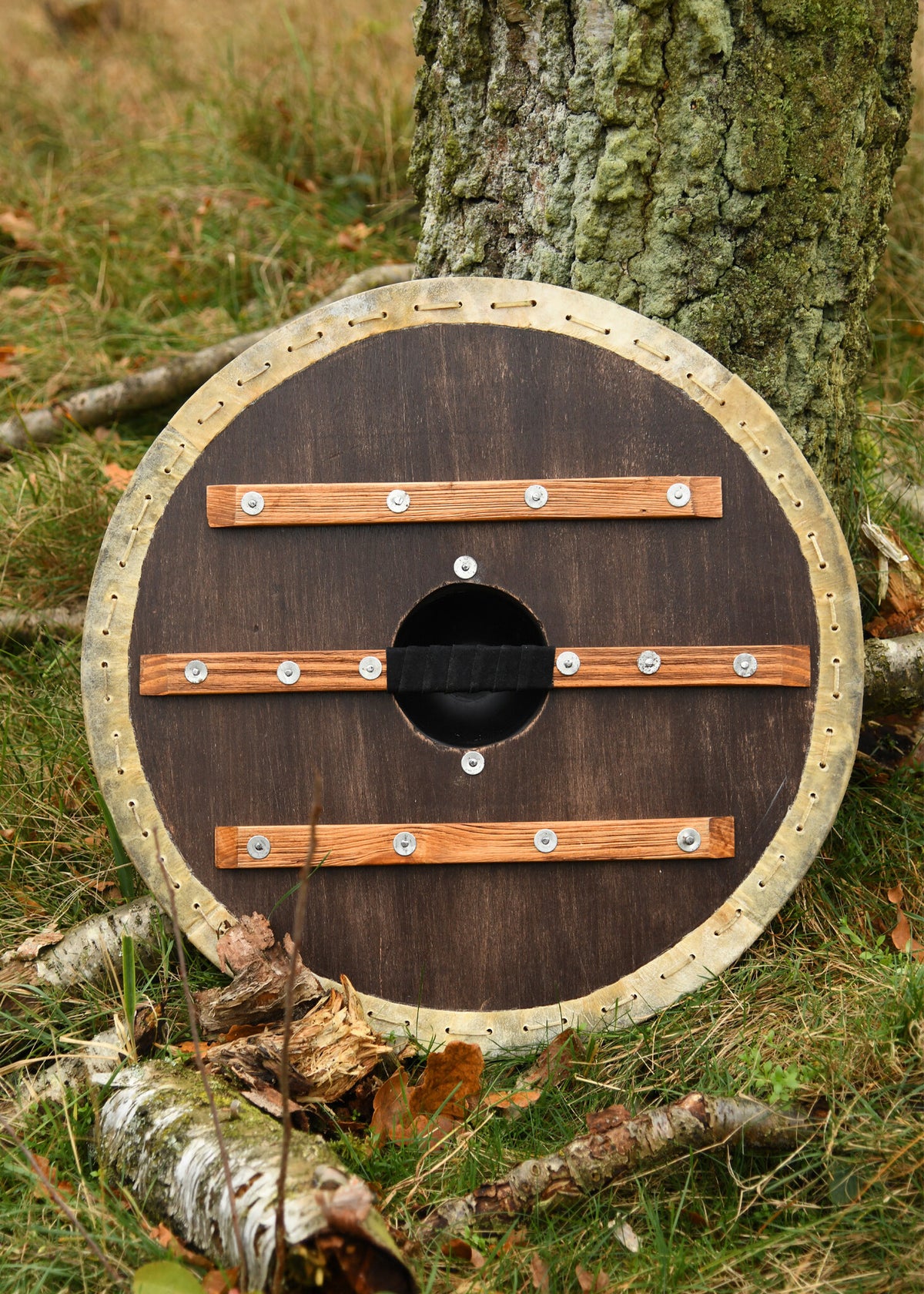 Viking shield Vegvisir with rawhide