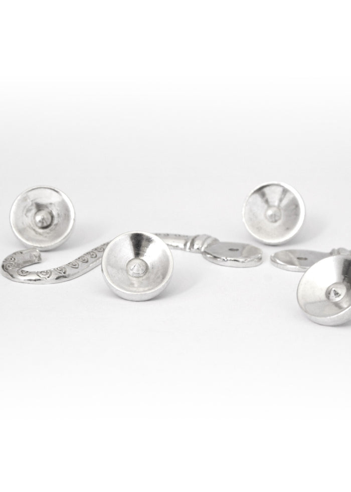 Hooks for Lorica hamata Chassenard