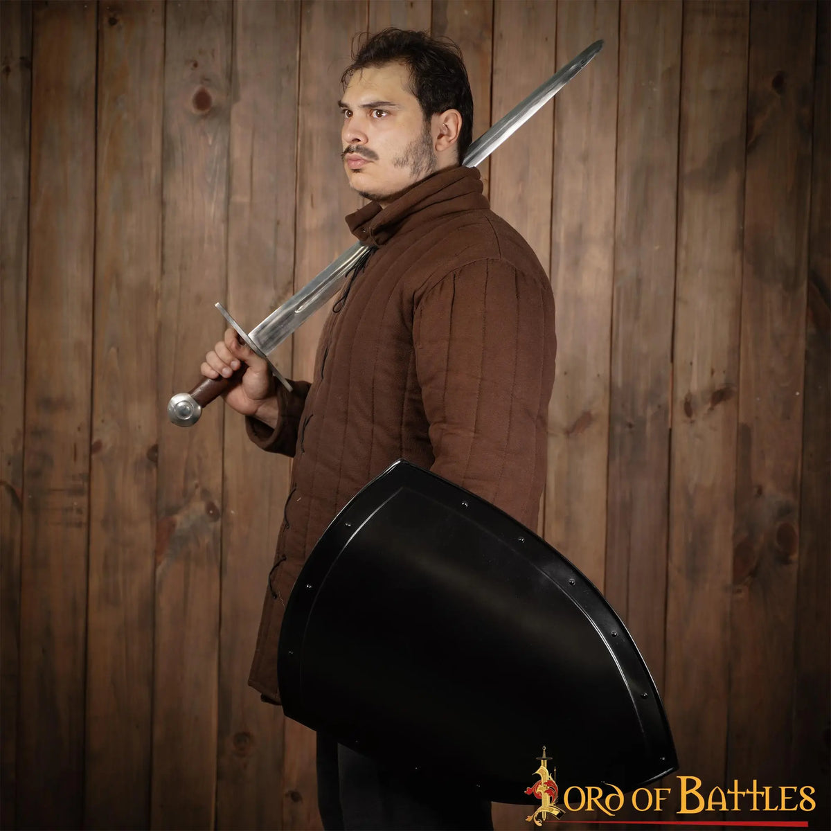 Medieval knight shield, dark
