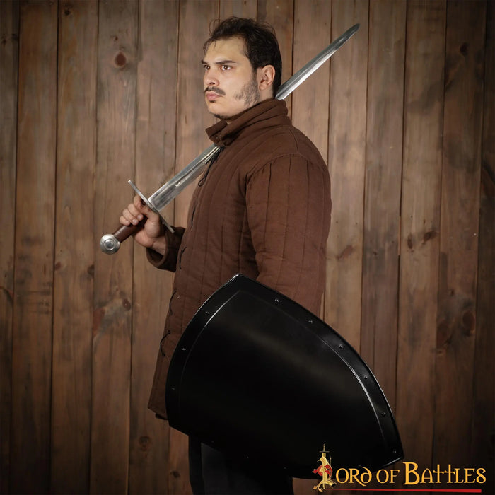Medieval knight shield, dark