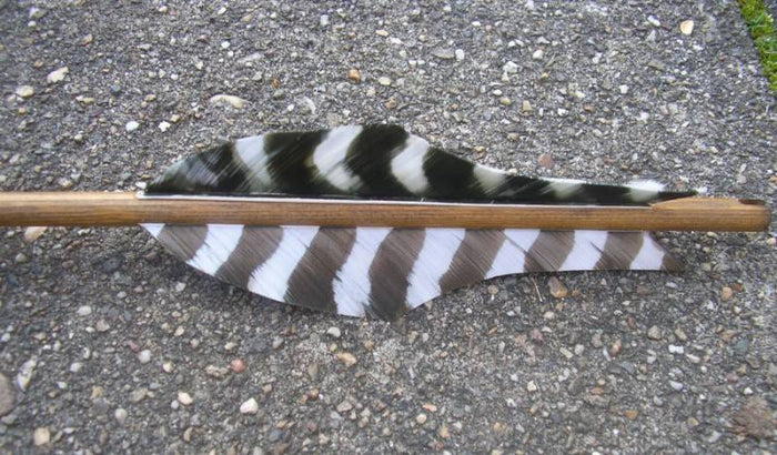 Germanic arrow