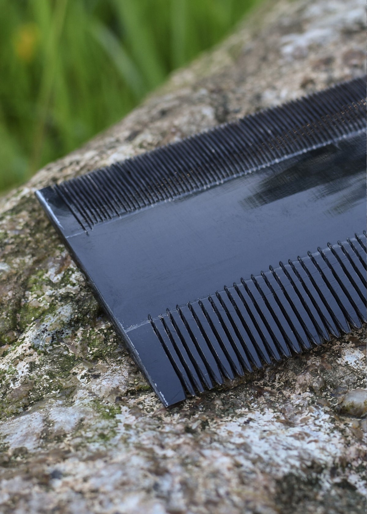 Double comb, horn