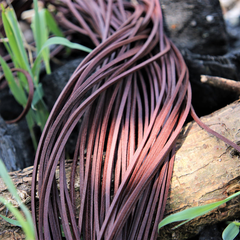 Lädersnöre, set med 10, brun