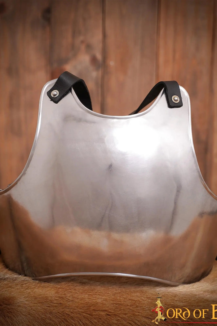 Breastplate Paladin, 1.2 mm