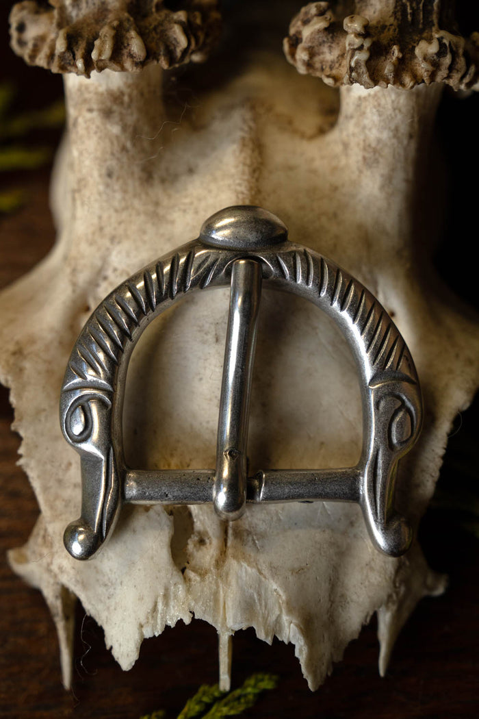 Viking buckle long-beaked birds