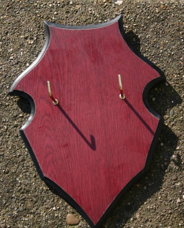 Hanging shield for swords