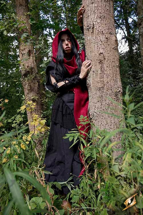 Hood Assassins Creed, red