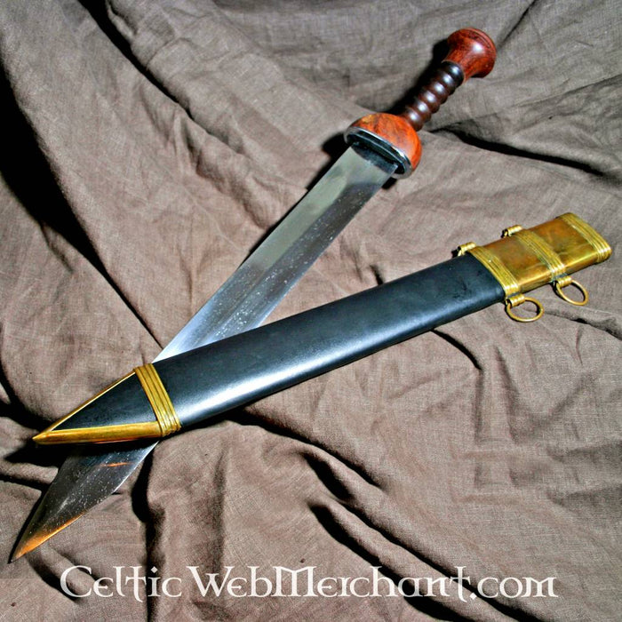 Gladius Ovidius, Pompeii, semi-sharp