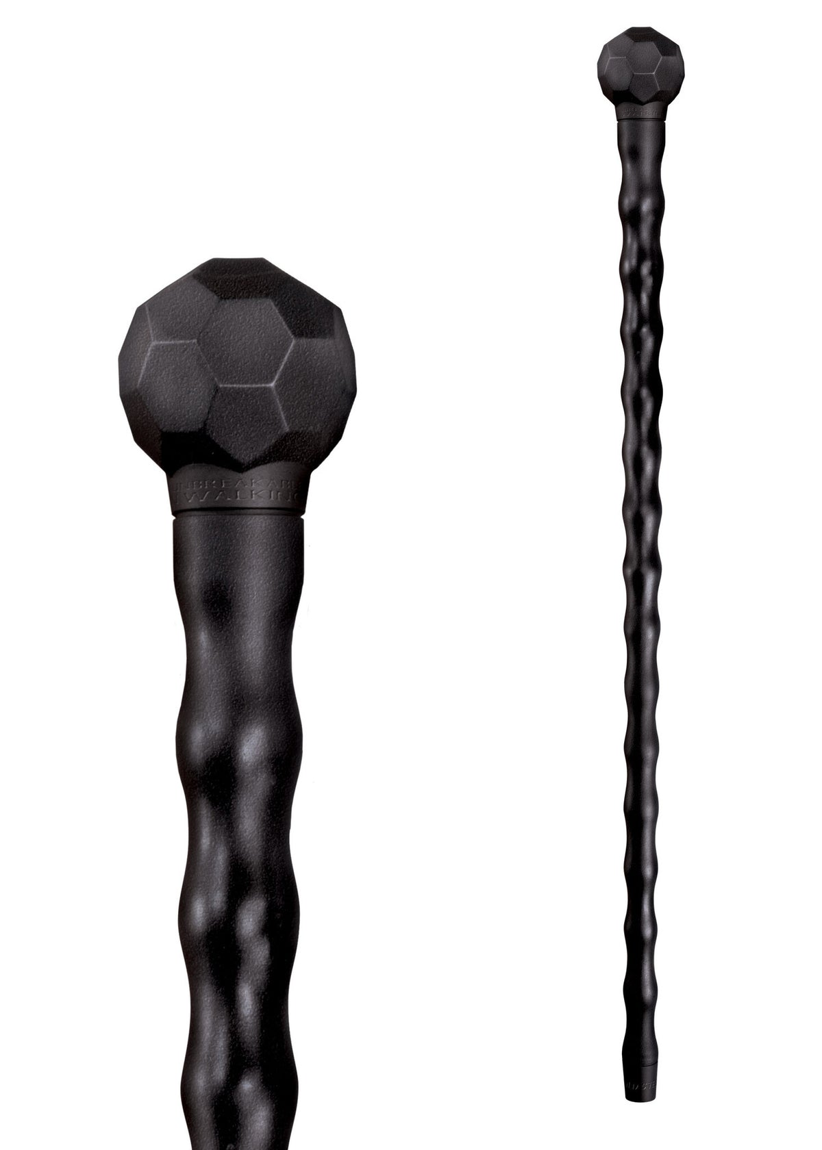 African Walking Stick