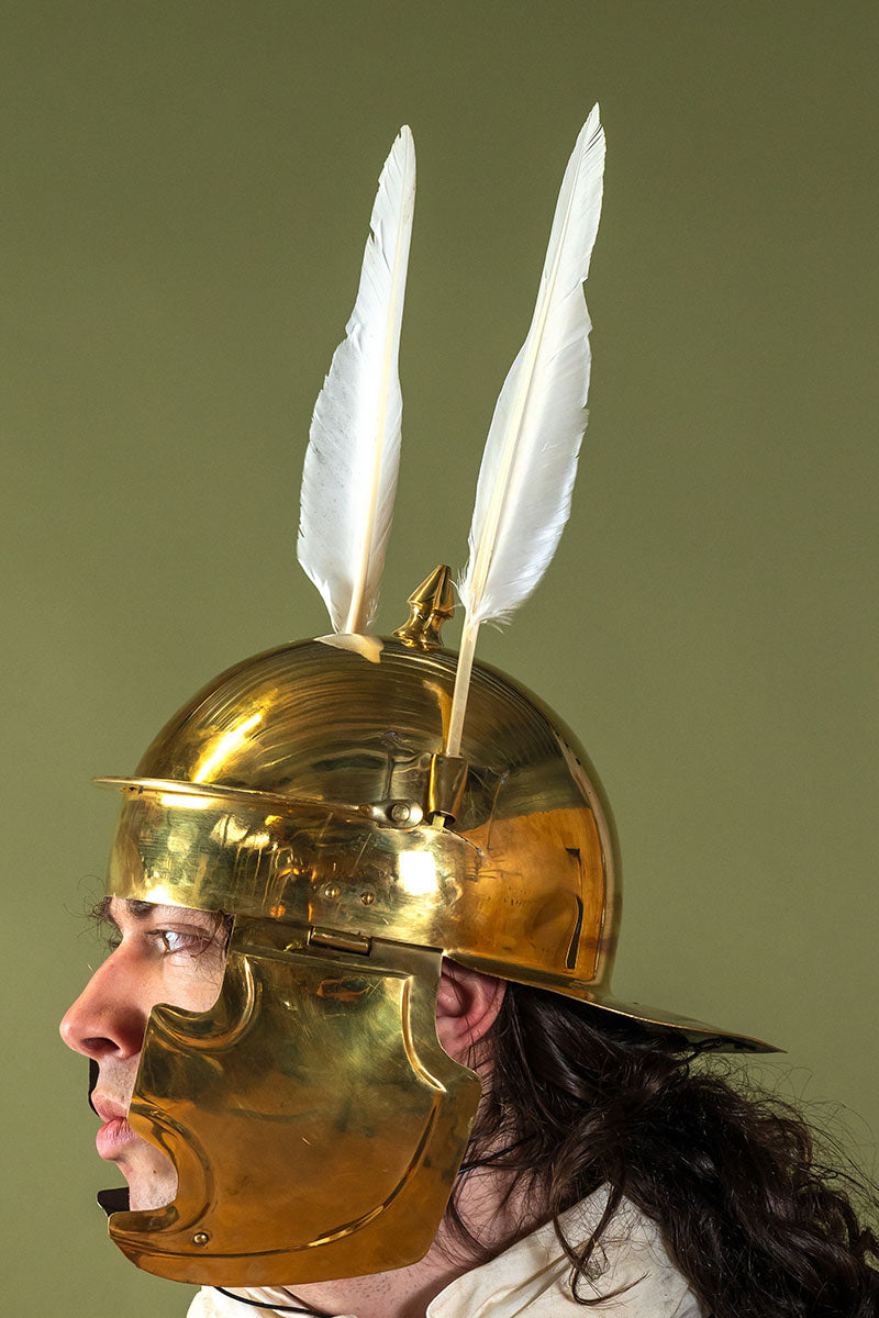 Set di penne d’oca, 10 pezzi