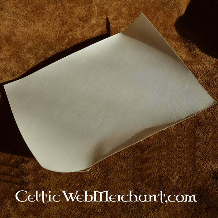 Parchment sheet 20x15 cm