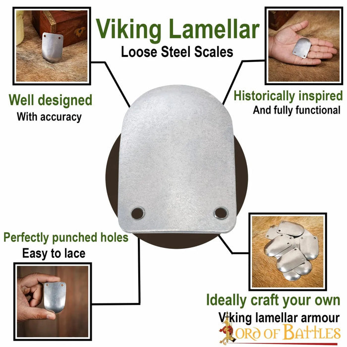 Early Medieval scale armour, 100x
