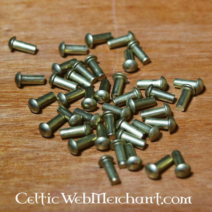 50 brass rivets 4 mm, long
