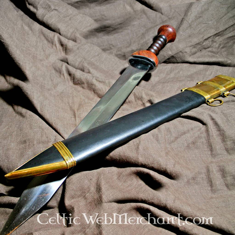 Gladius Ovidius, Pompeii, semi-sharp