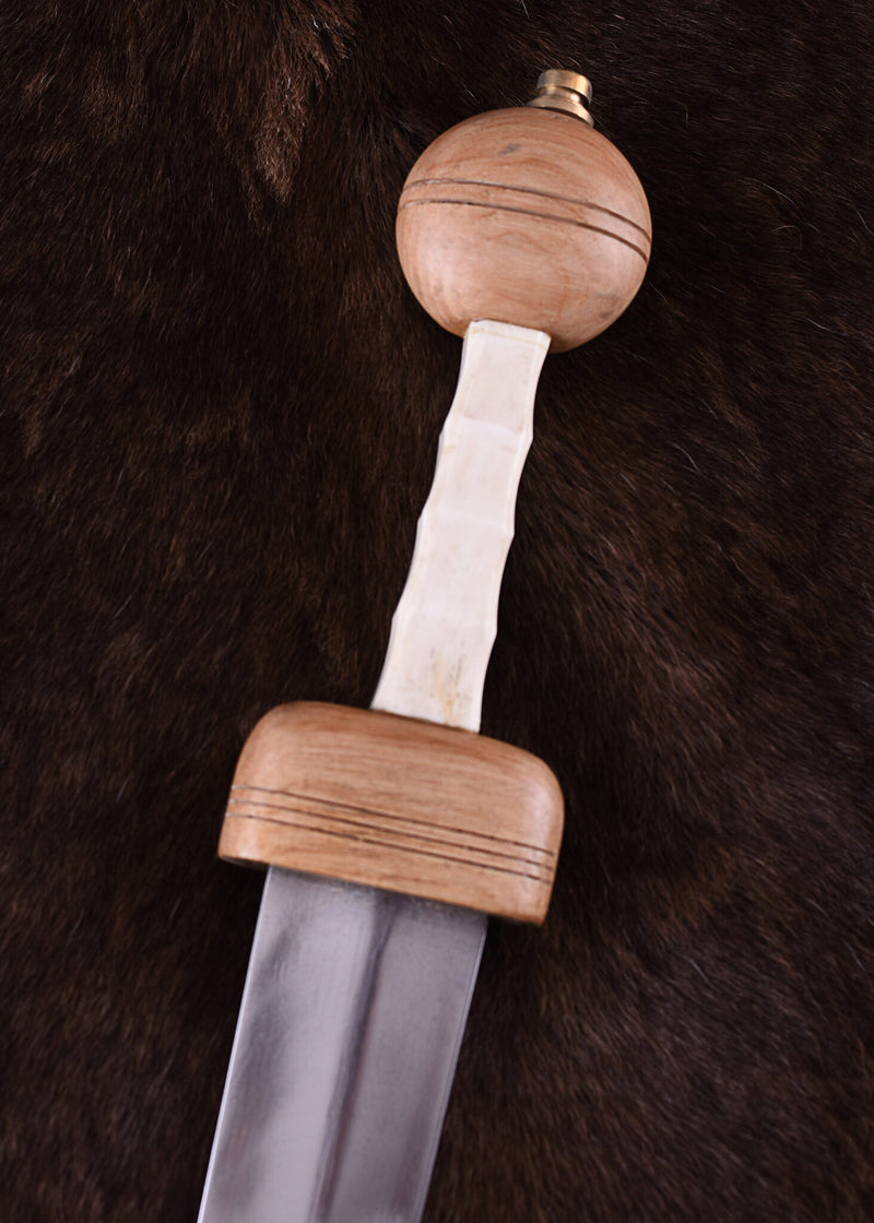 Gladius Xanten, 3. Jahrhundert n. Chr., halbscharf