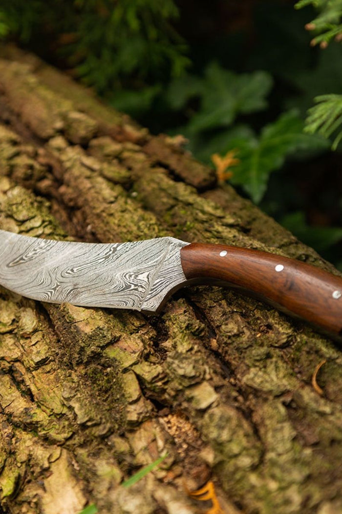 User Ghes Damascus Belisar
