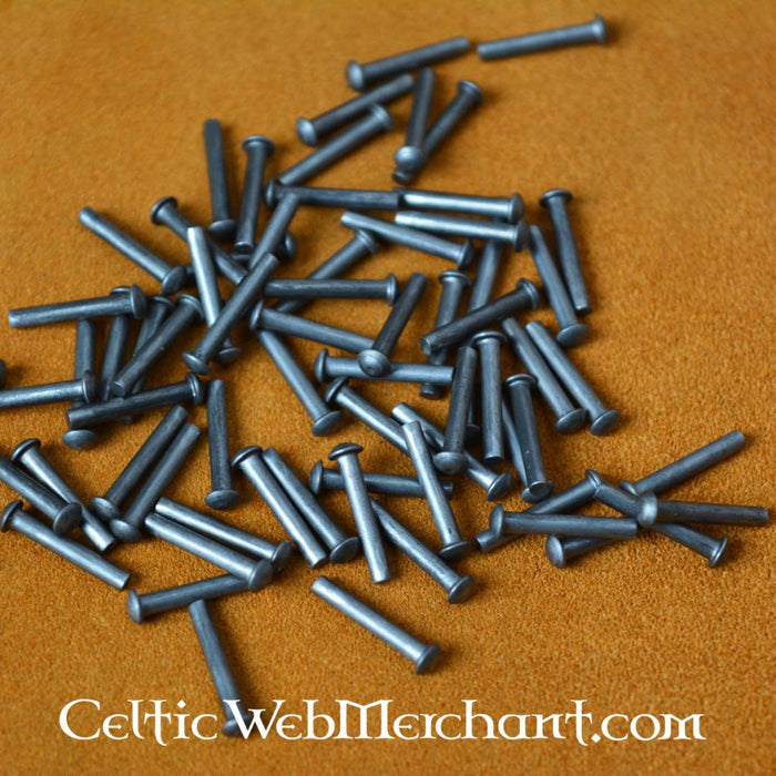 100 steel rivets 12 mm