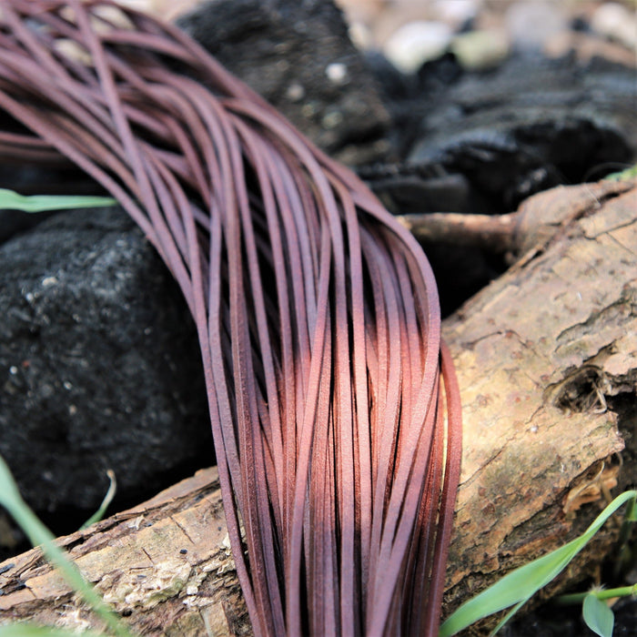 Leather laces, set of 50, brown