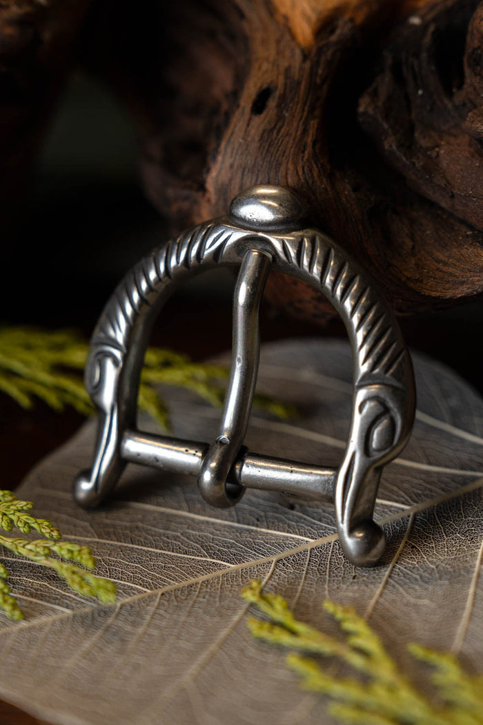 Viking buckle long-beaked birds