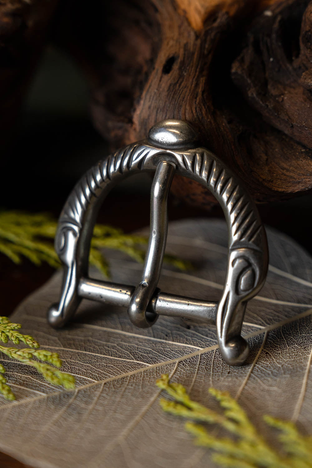 Viking buckle long-beaked birds