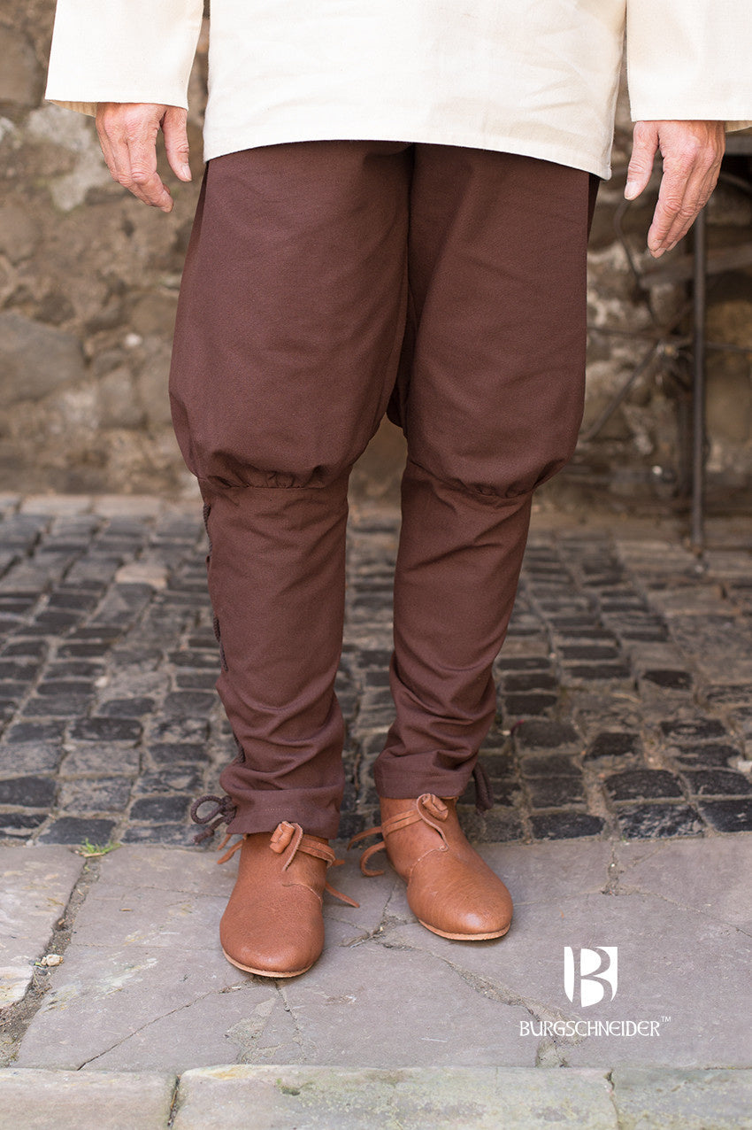 Trousers Wigbold, brown