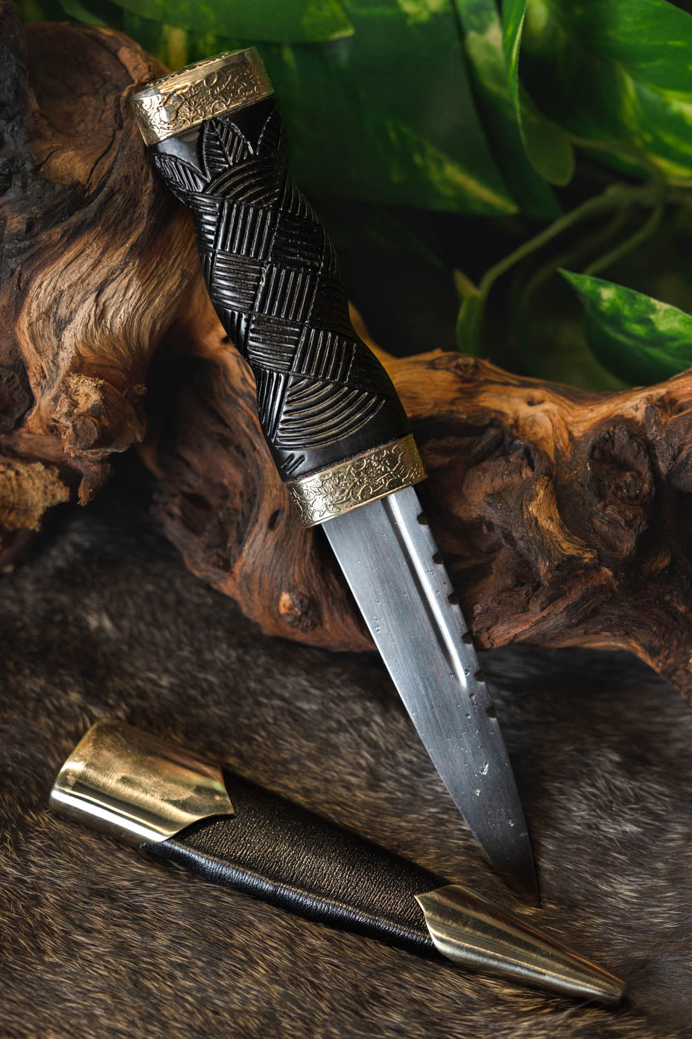 Highlander sgian dubh, semi-sharp