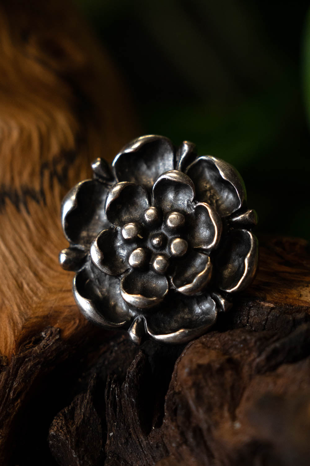 Tudor rose belt fitting (set of 5 pieces), bronze