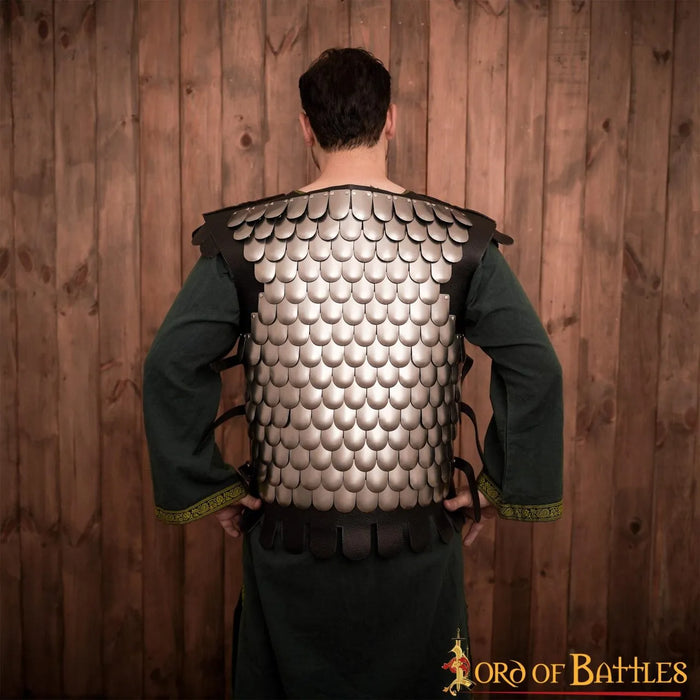 Scale Armour, Lorica Squamata, steel