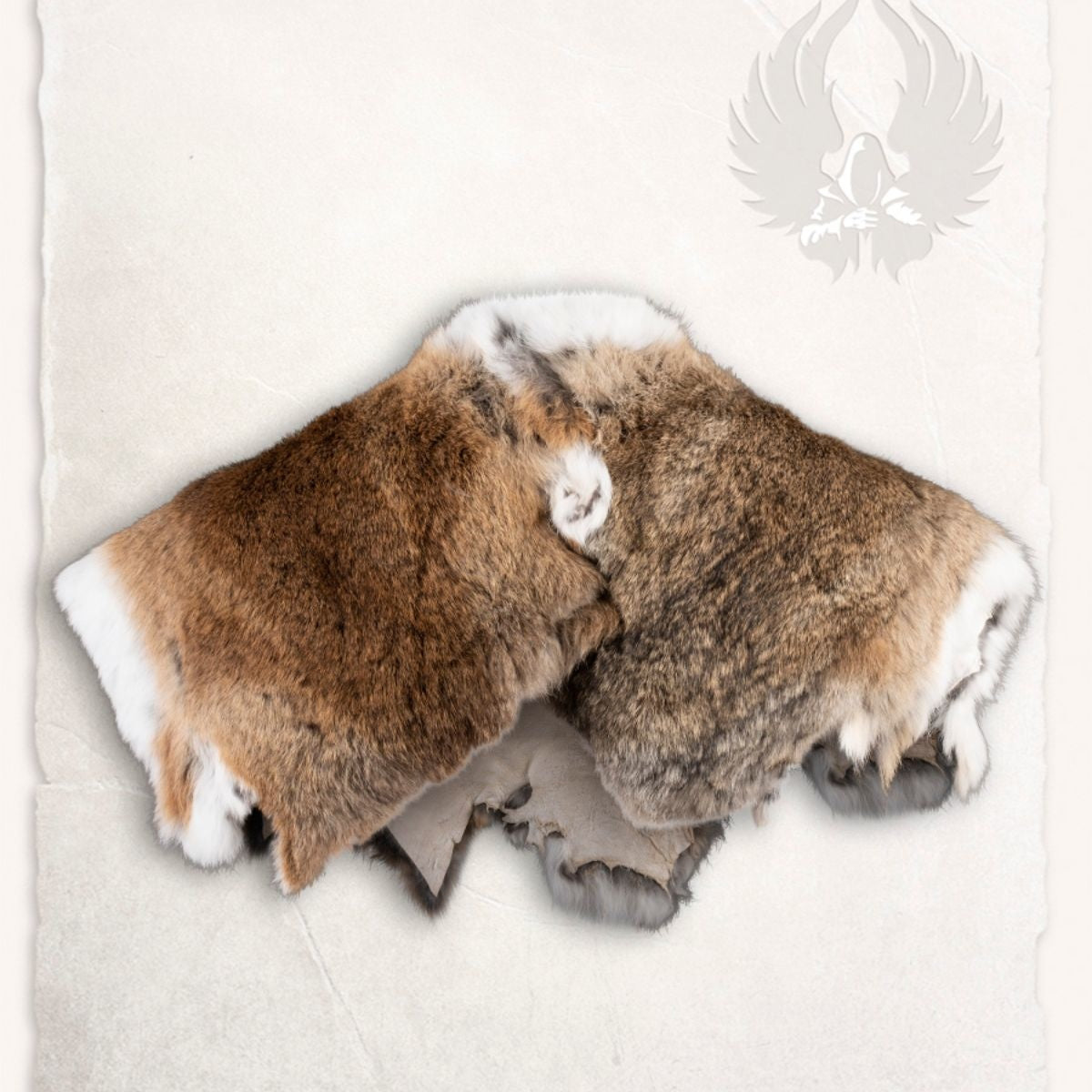 Fur collar Sandy, sand