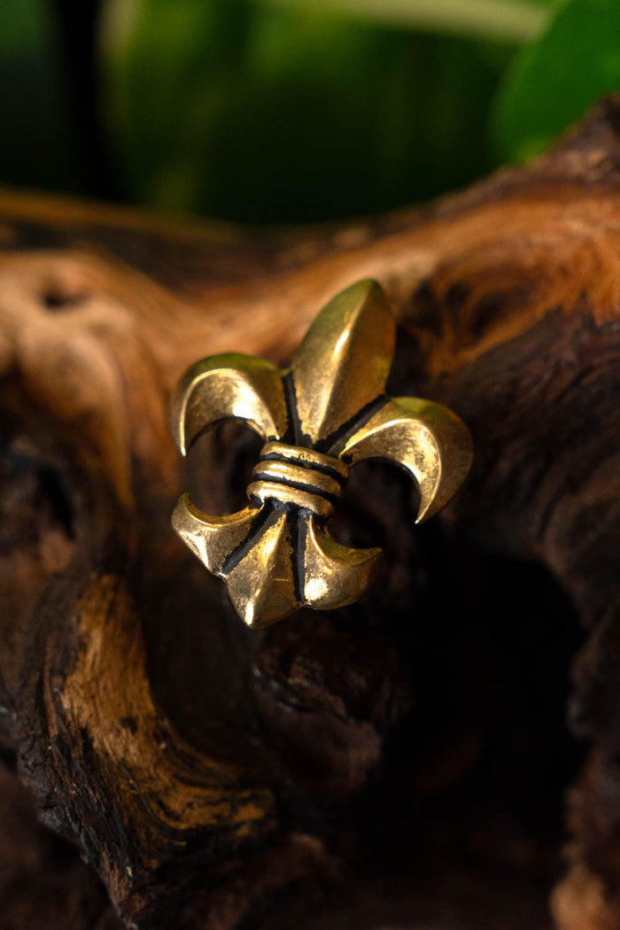 Fleur-de-lys belt fittings (set of 5 pieces), bronze