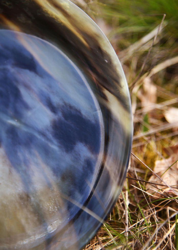 Horn plate