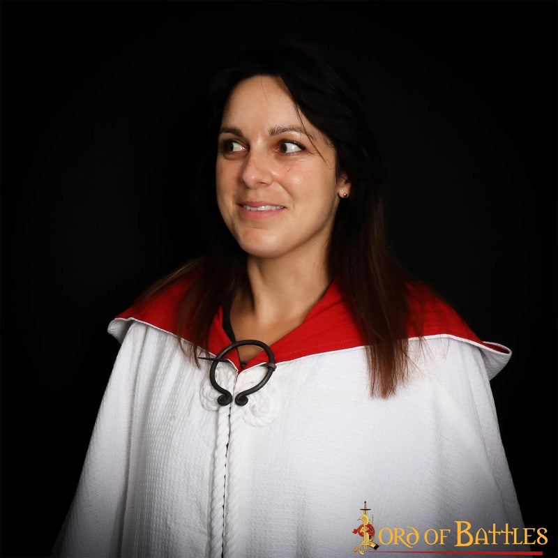 Fibula podkowiasta ze spiralami, żelazo