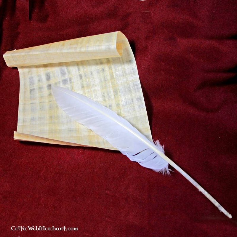 Set di penne d’oca, 10 pezzi