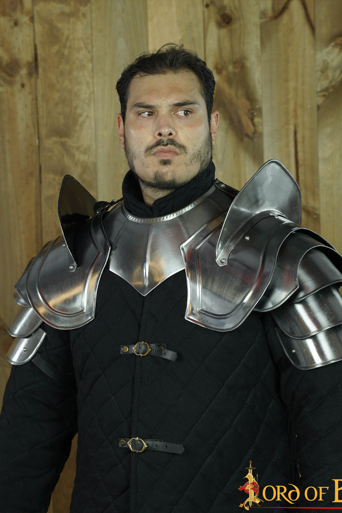 Pauldrons Paladin, 1.2 mm