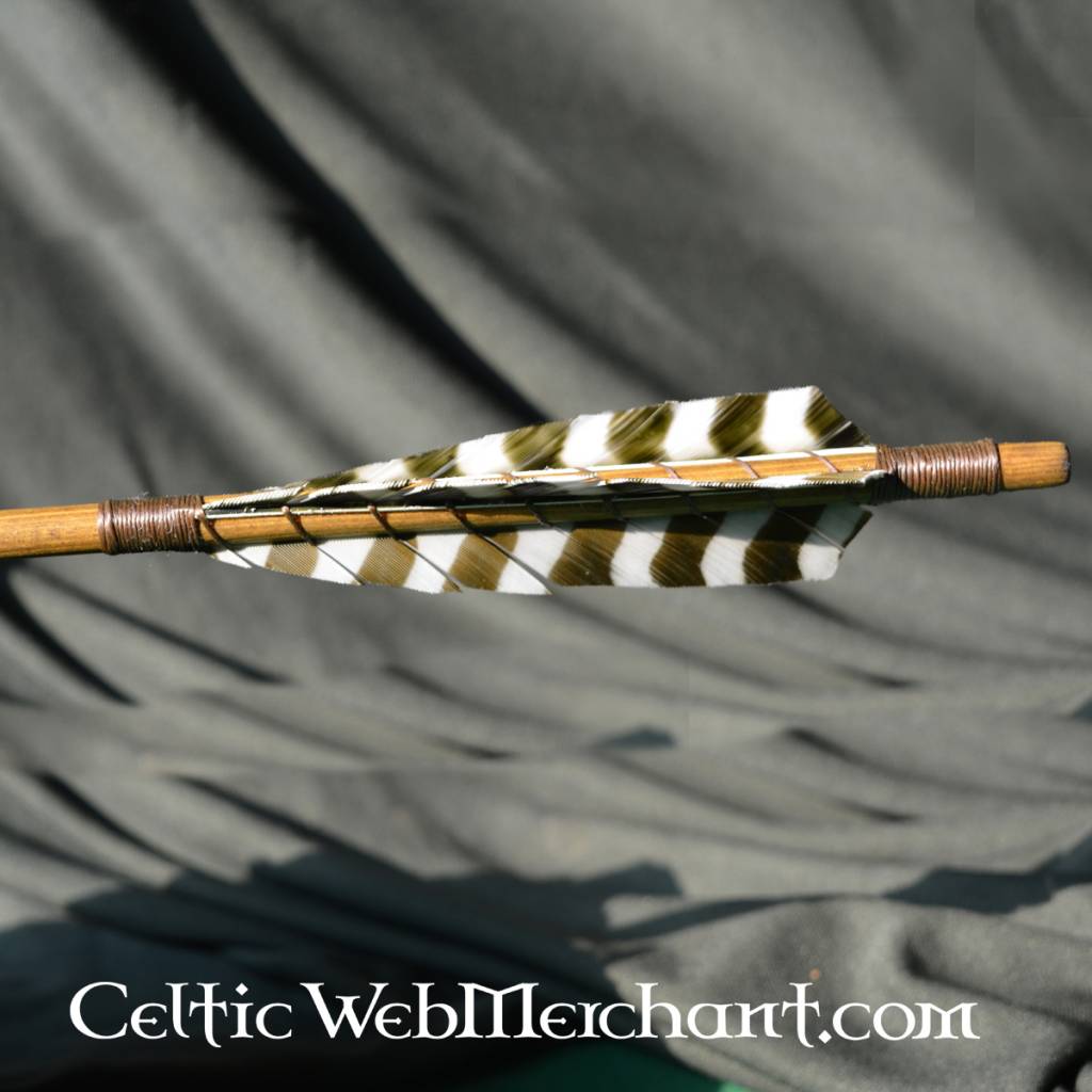 Medieval arrow