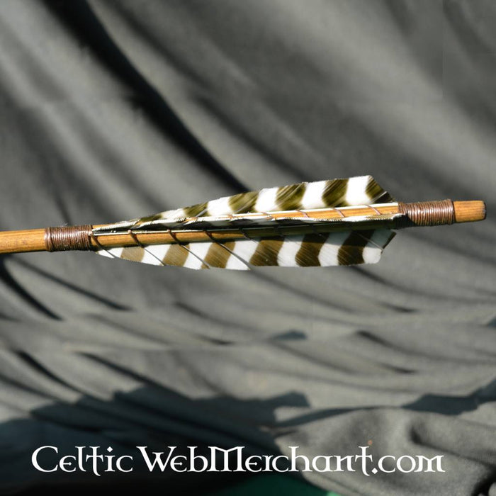 Medieval arrow