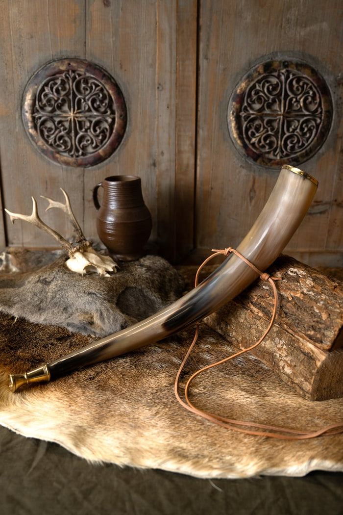 Early medieval signal horn