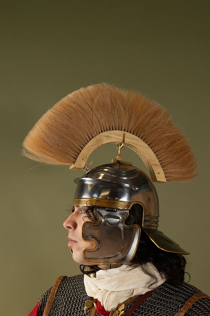 Roman crest, white