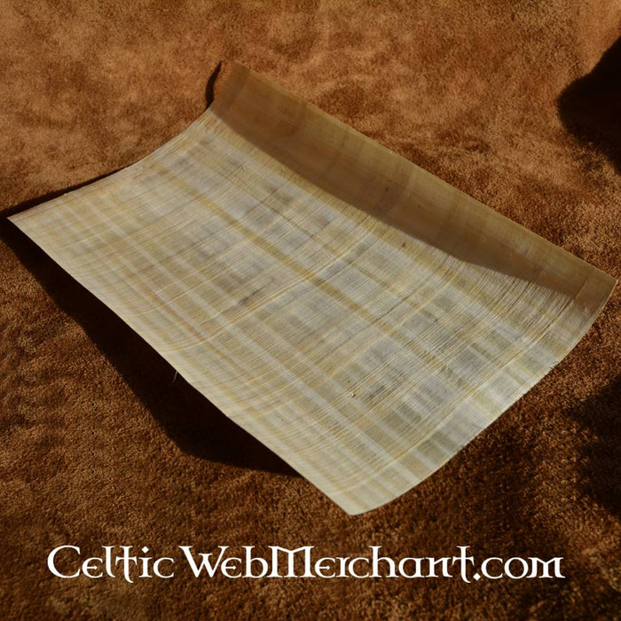 Papyrus sheet 62x42 cm