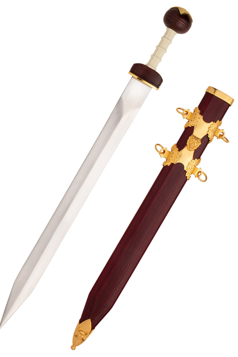 Gladius Spiculus halb scharf