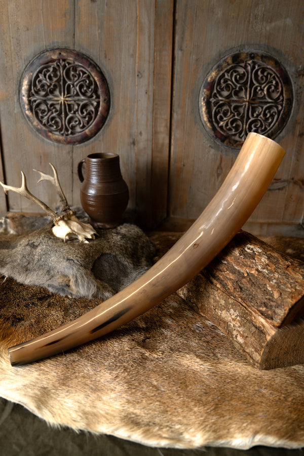 Viking signal horn