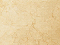 Parchment sheet 15x10 cm