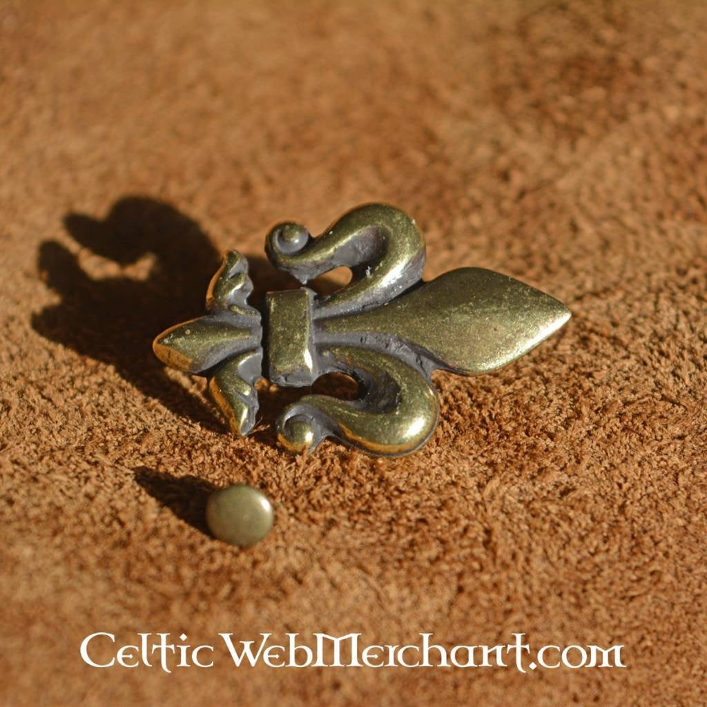 Fleur-de-lys belt fittings (set of 5 pieces), silvered bronze